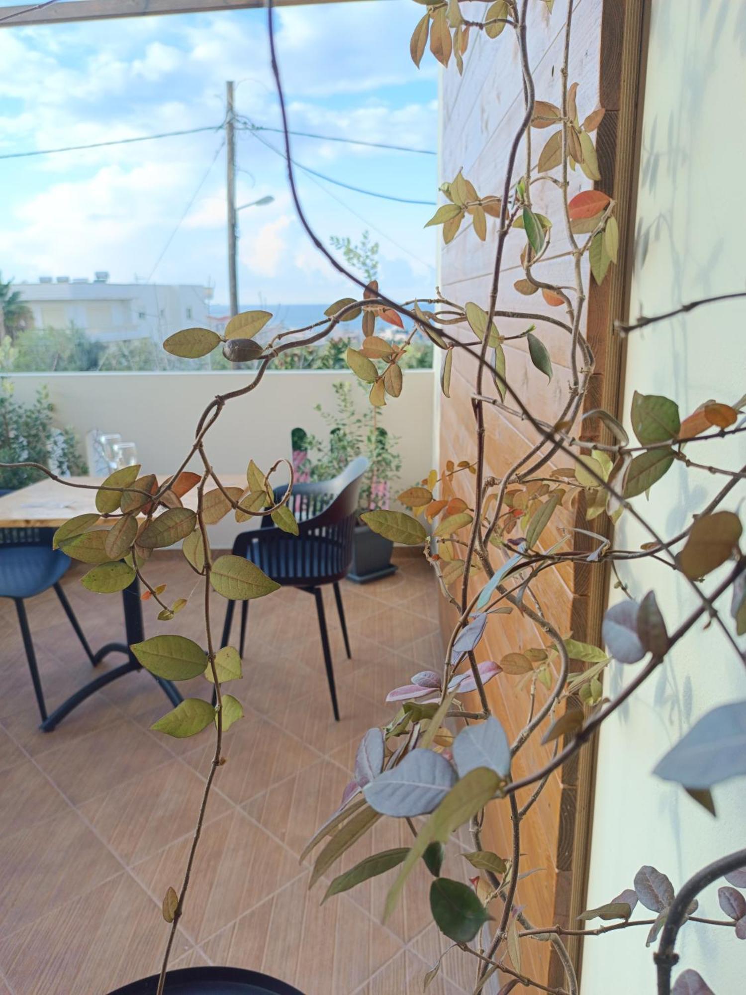 Giodriana Cozy Studio Aγία Μαρίνα Εξωτερικό φωτογραφία